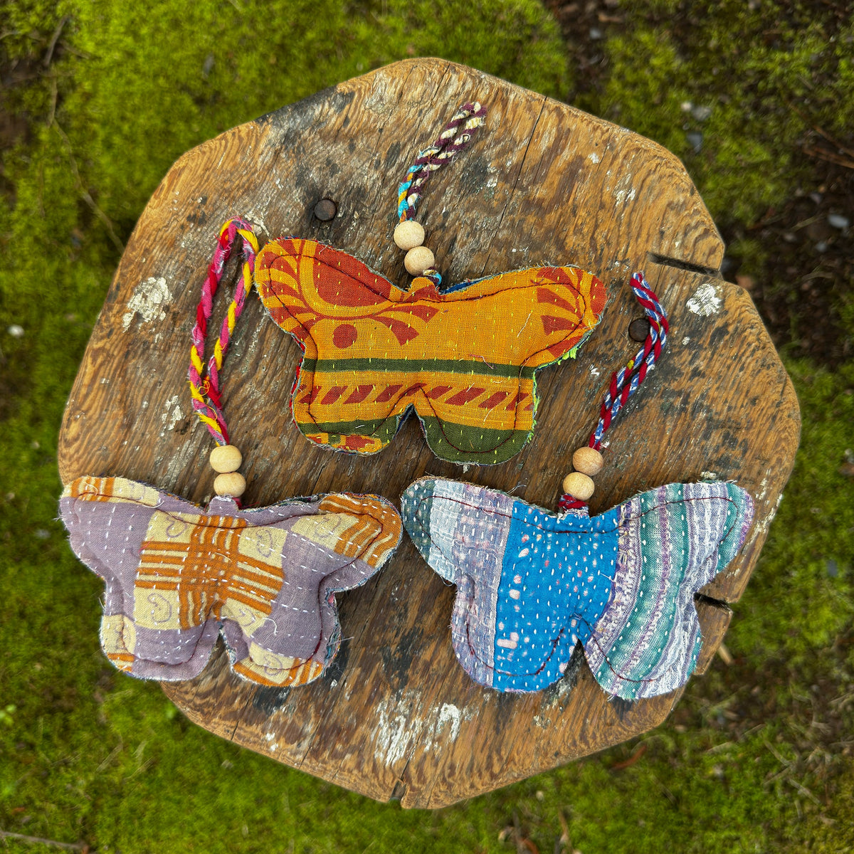 Curated Butterfly Collection