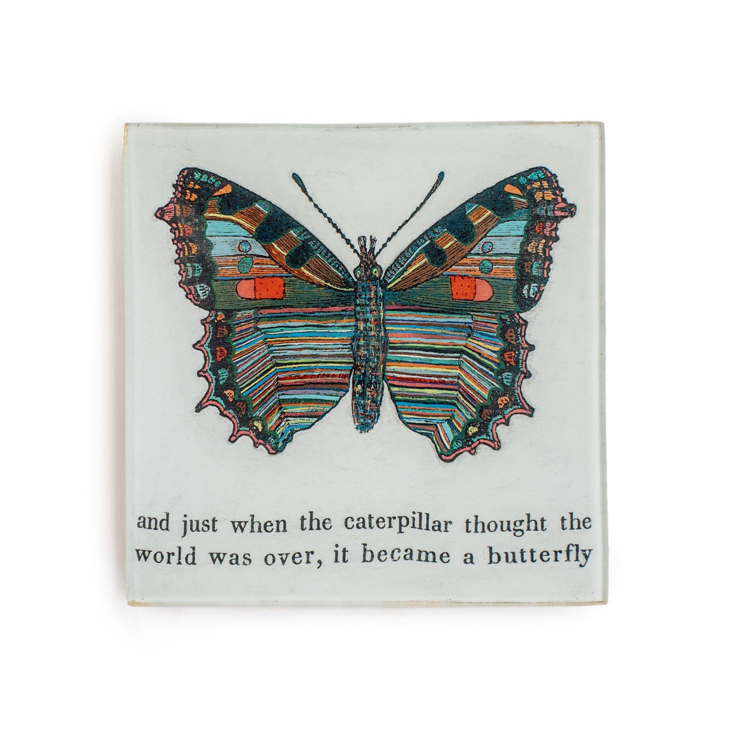 Butterfly Square Decoupage Plate 6" x 6"