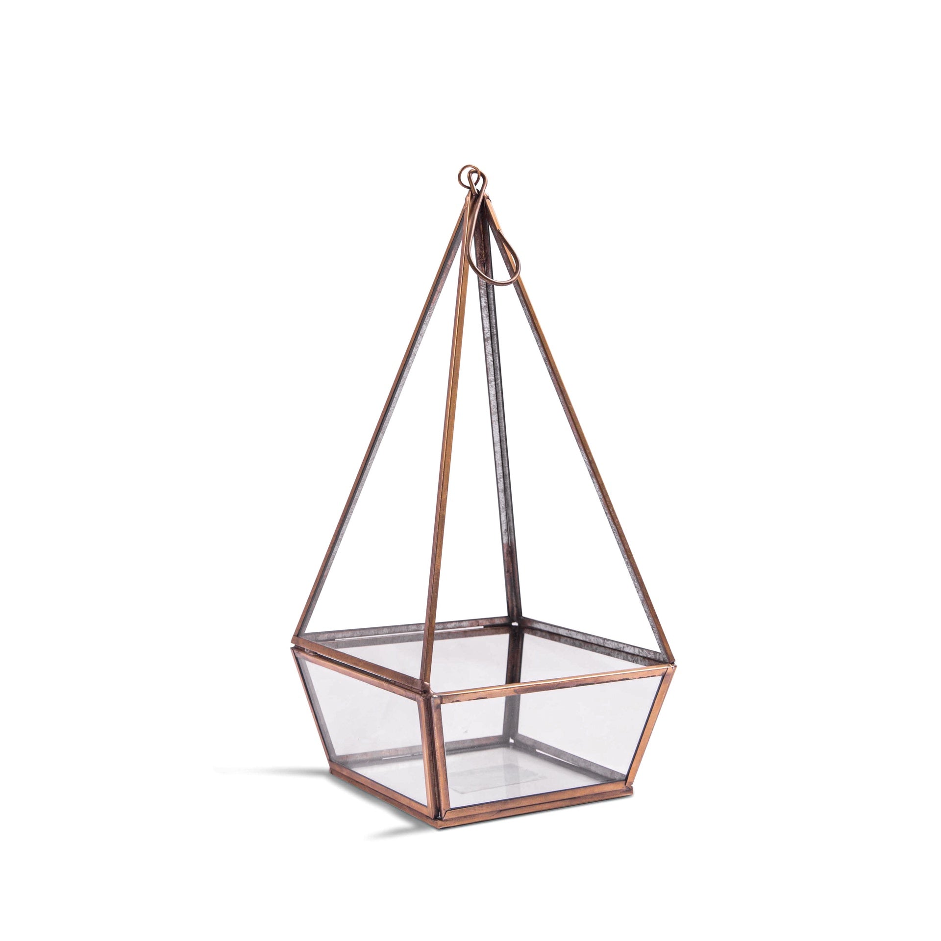Hanging Glass Terrarium