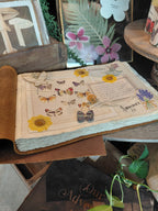 Our Adventure Leather Story Keeper 14x10 - Moss
