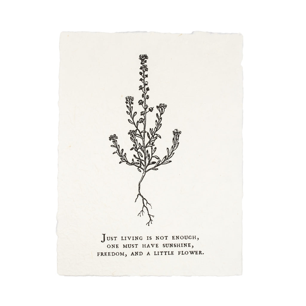 ***Just Living Is Not Enough Botanical Handmade Paper Print - 12x16
