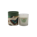 Butterfly Flora & Fauna Candle