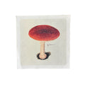 Classic Shroom - Flora & Fauna Collection - 8x8