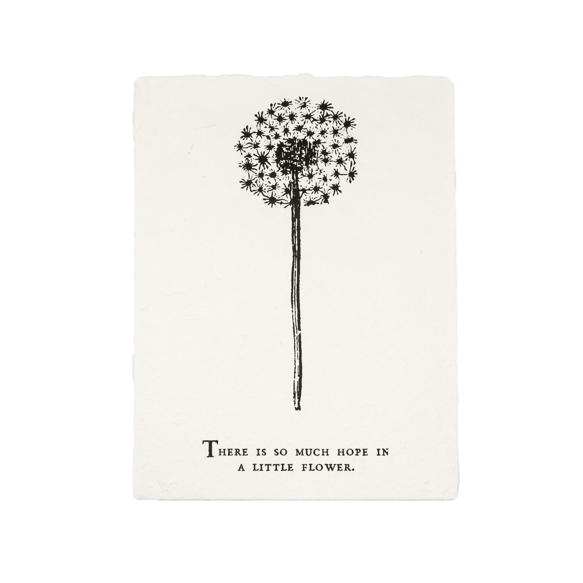 ***There Is So Much Hope Botanical Handmade Paper Print