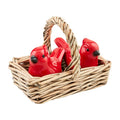 Cardinal Salt & Pepper Set