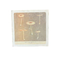 Skinny Shrooms - Flora & Fauna Collection - 8x8
