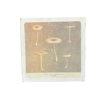 Skinny Shrooms - Flora & Fauna Collection - 8x8