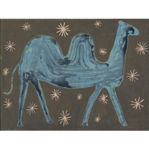 Camel In The Stars