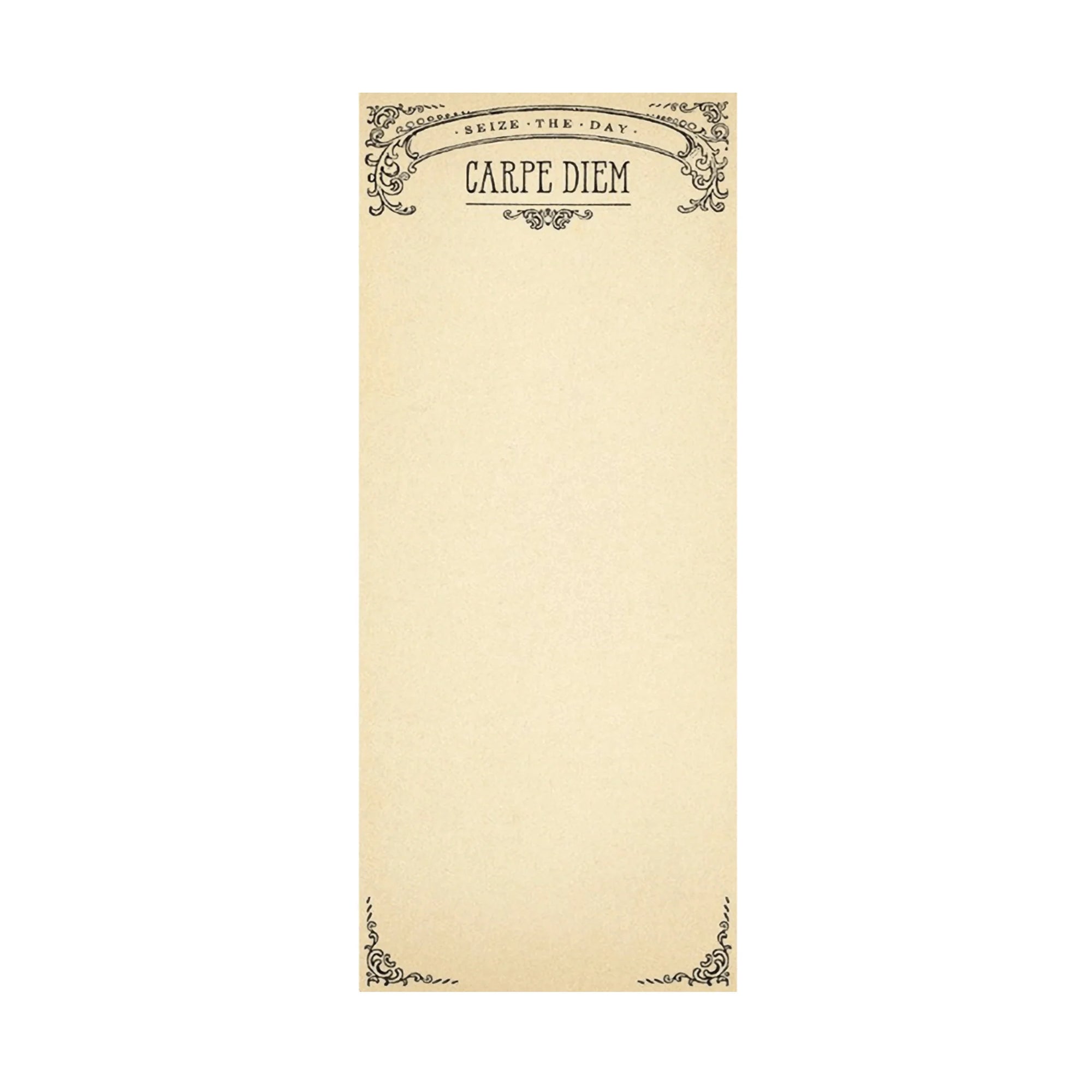 ***Carpe Diem Skinny Notepad