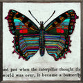 Butterfly Art Print  (Grey Wood)