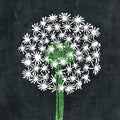 Dandelion Art Print