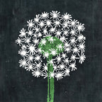 Dandelion Art Print