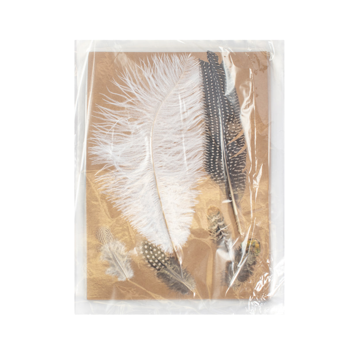 Assorted Plumes Collection 1st Edition - Set of 6