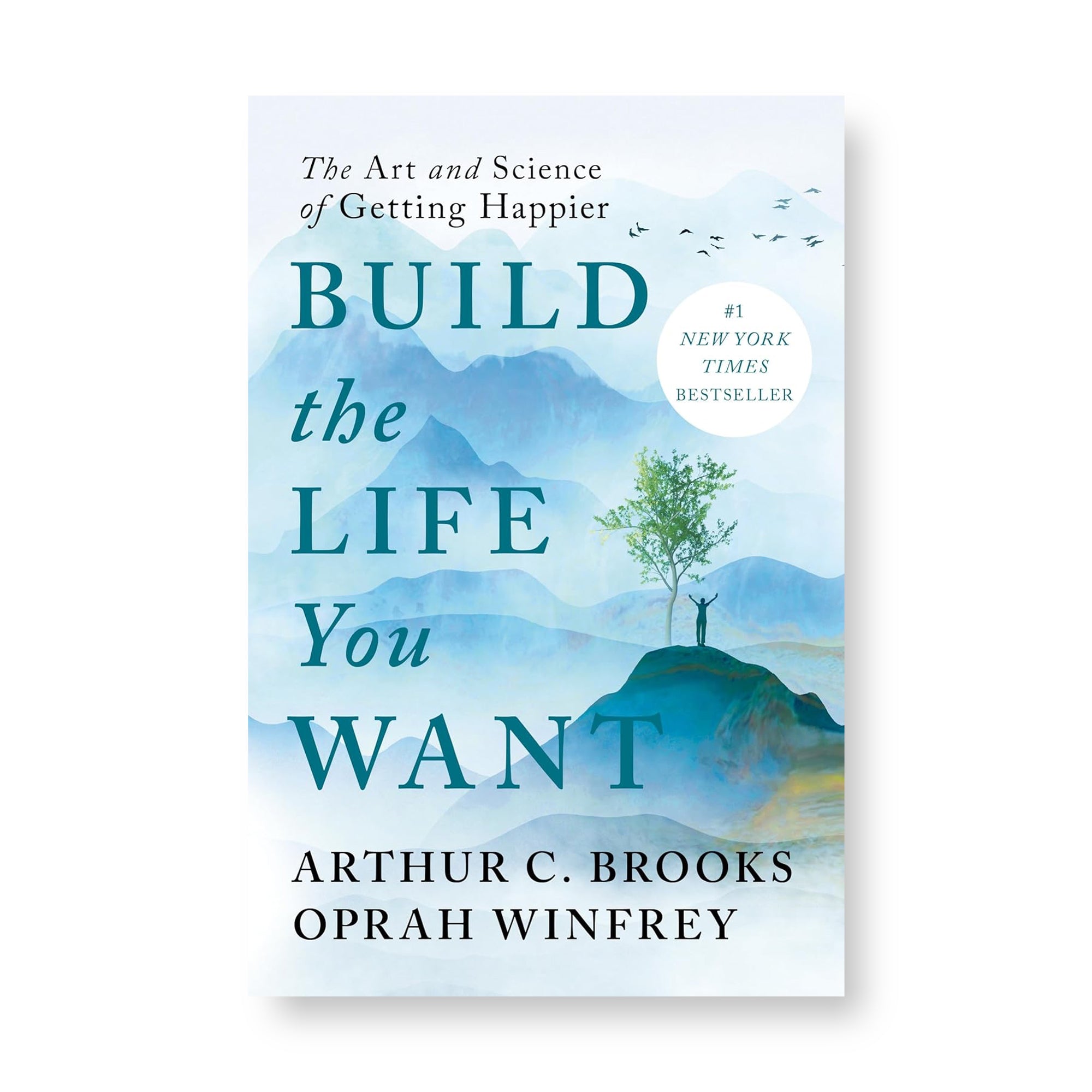 Build the Life You Want
