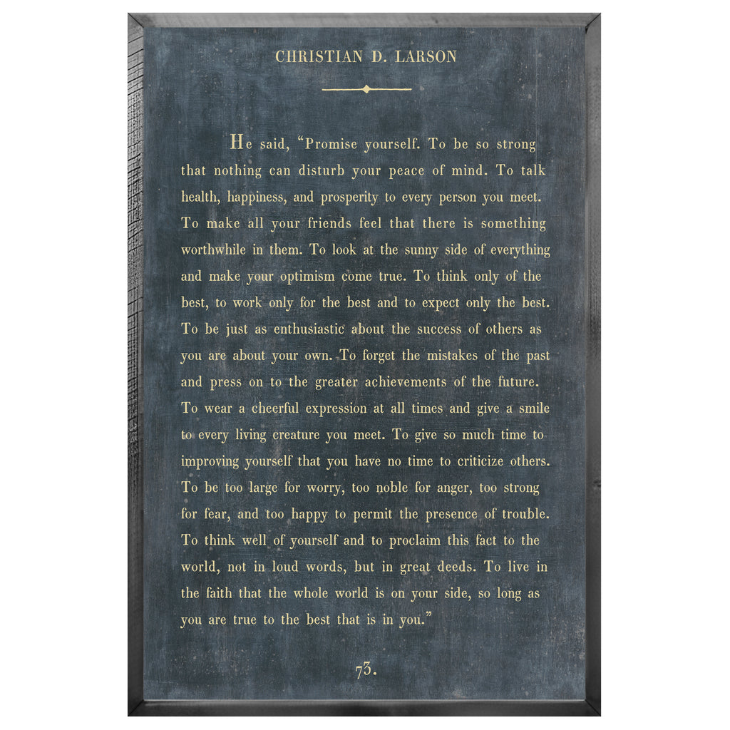Christian D. Larson - Book Collection (Grey Wood) - Art Print