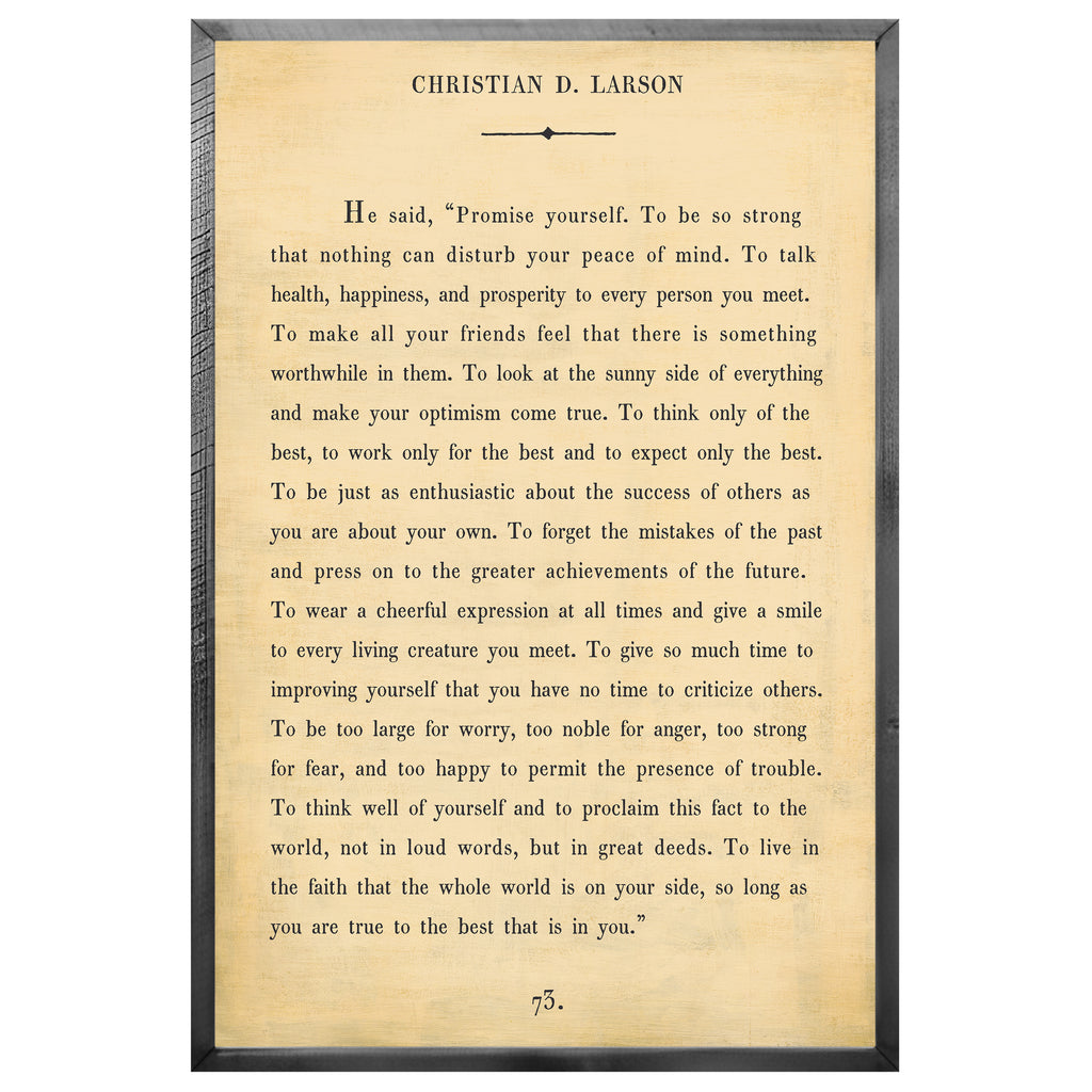 Christian D. Larson - Book Collection (Grey Wood) - Art Print