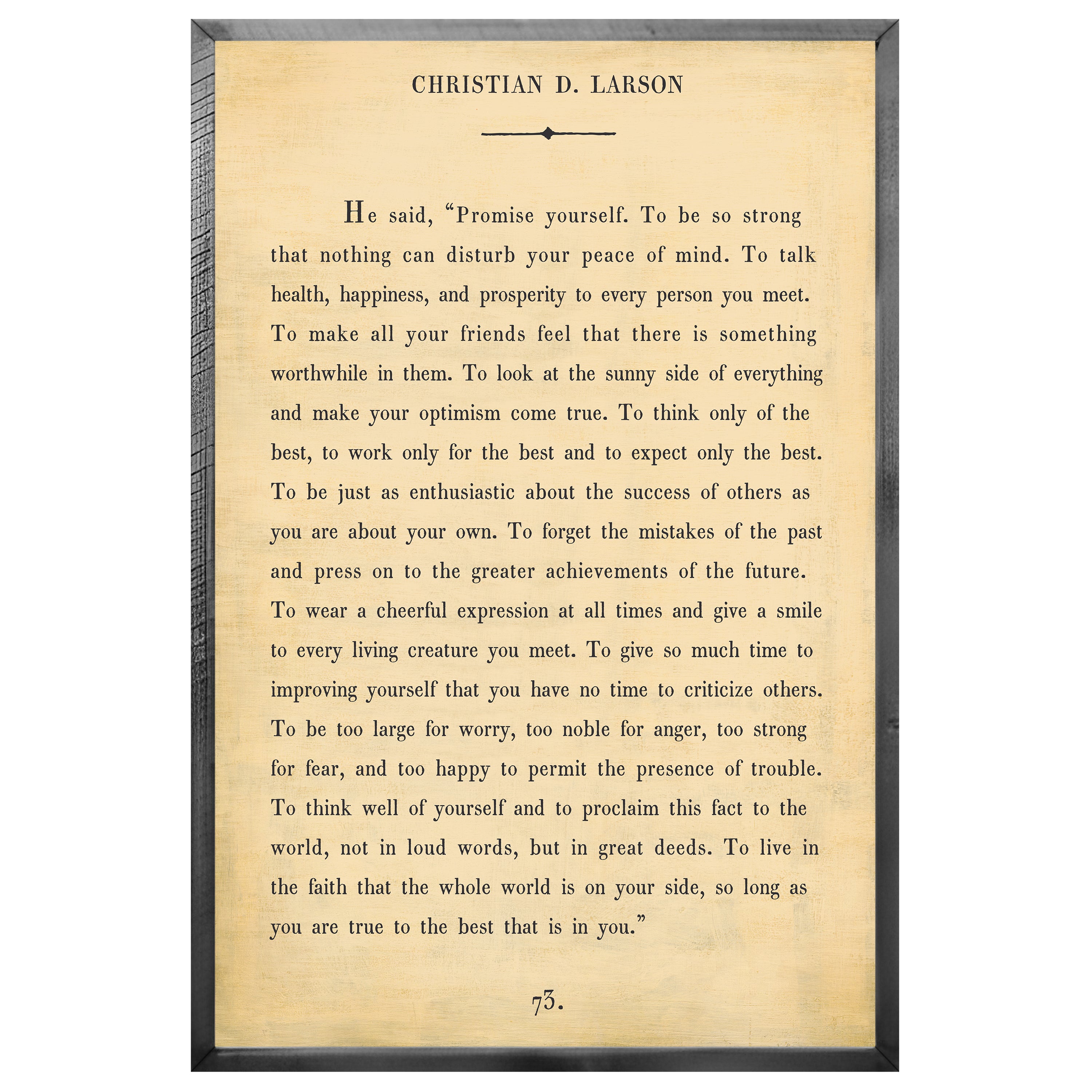 Christian D. Larson - Book Collection (Grey Wood) - Art Print
