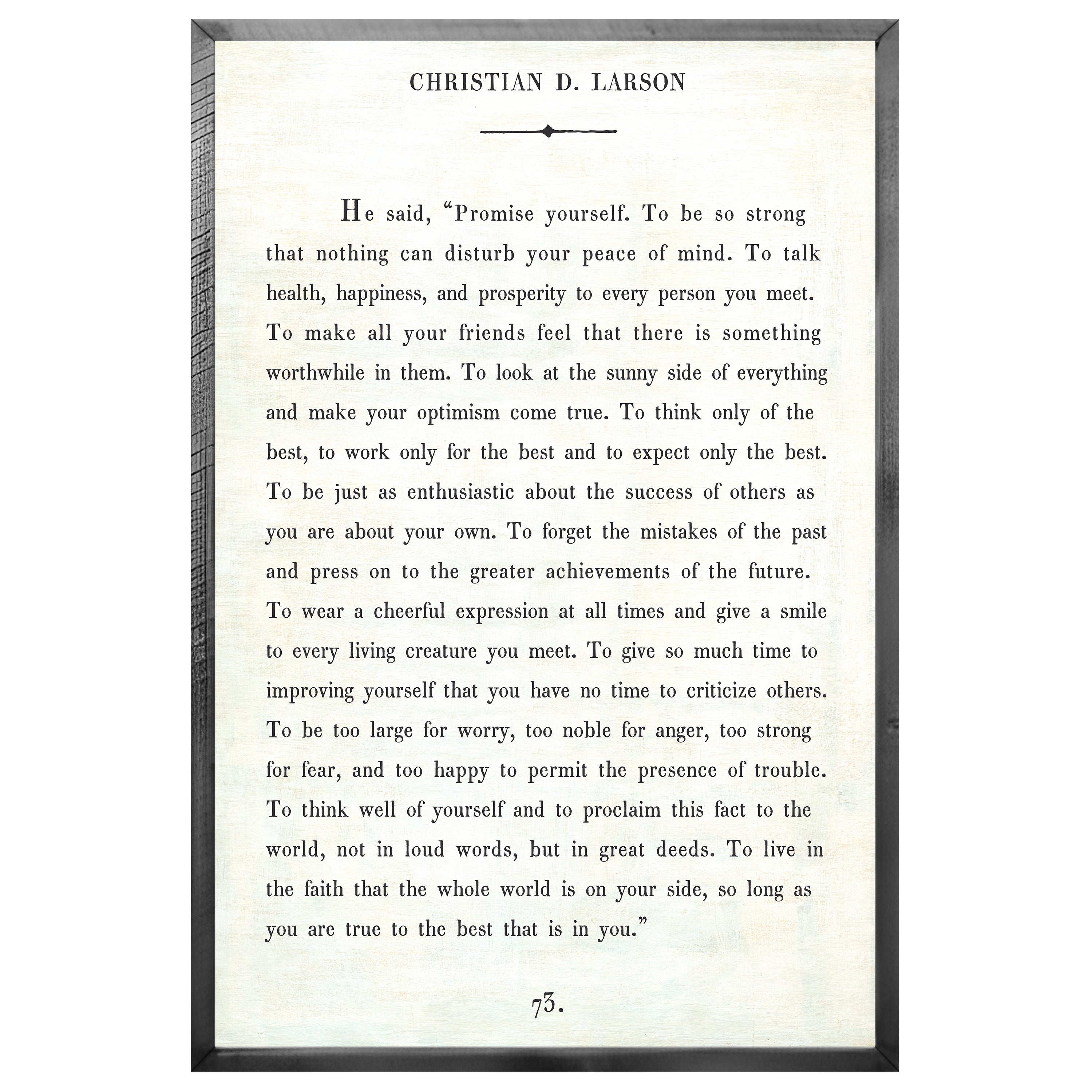 Christian D. Larson - Book Collection (Grey Wood) - Art Print