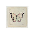 White Butterfly - Flora & Fauna Collection - 8x8