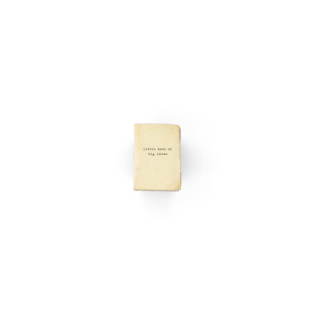 ***Little Book Of Big Ideas Mini Deckled Edge Notebook