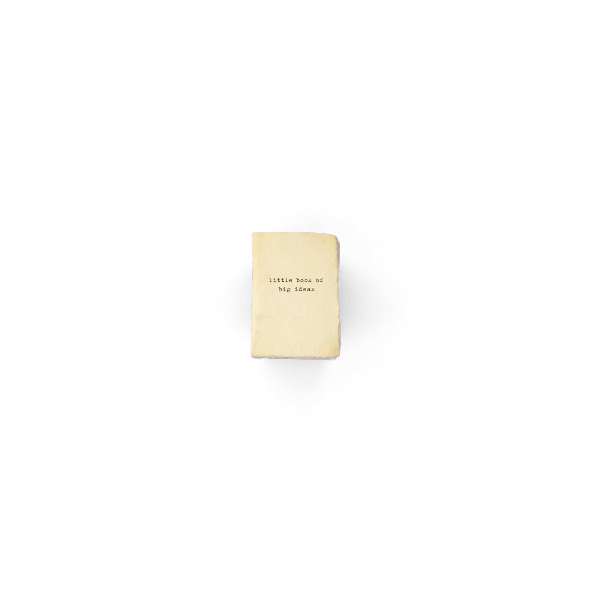 ***Little Book Of Big Ideas Mini Deckled Edge Notebook