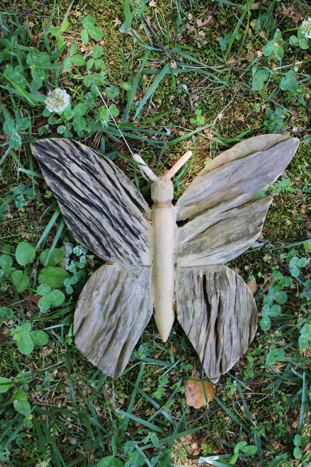 Large Butterfly Driftwood