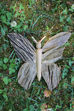 Large Butterfly Driftwood