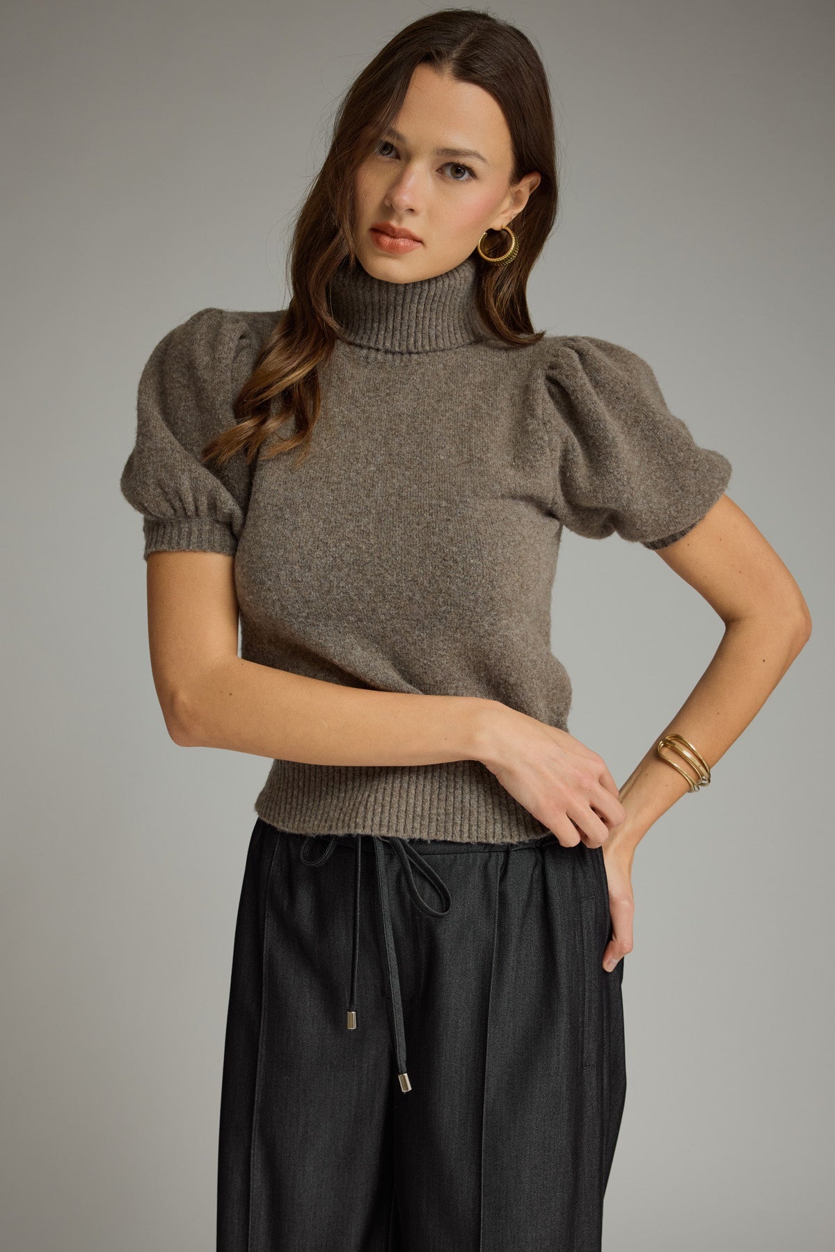Shortsleeve Turtleneck Sweater - Mocha
