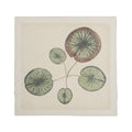 Water Lily - Flora & Fauna Collection - 8x8