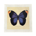 Blue Butterfly - Flora & Fauna Collection - 11x11