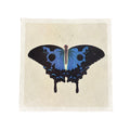 Swallowtail Butterfly - Flora & Fauna Collection - 11x11