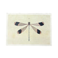 Solo Dragonfly - Flora & Fauna Collection - 16x12
