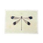 Solo Dragonfly - Flora & Fauna Collection - 16x12