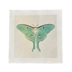 Green Luna Moth - Flora & Fauna Collection - 11x11
