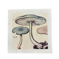 Blue Shrooms - Flora & Fauna Collection - 11x11