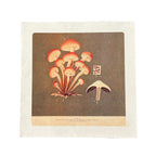 Shroom Bunch - Flora & Fauna Collection - 11x11