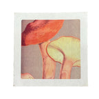 Up & Close Shrooms - Flora & Fauna Collection - 11x11