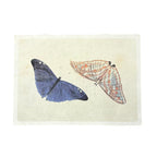 Butterfly Duo - Flora & Fauna Collection - 16x12