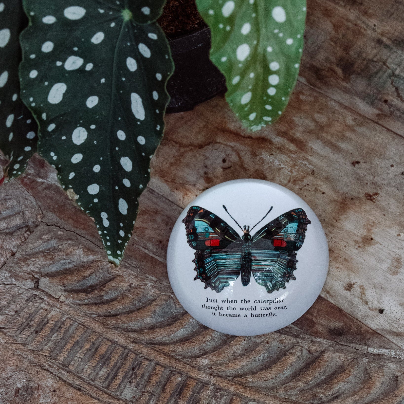 Butterfly Paperweight