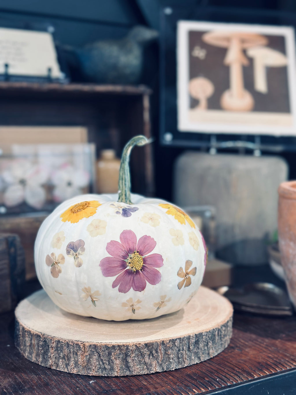 Large Pressed Botanicals- Gerbera