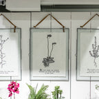 ***He Said There Are Always Flowers Botanical Handmade Paper Print - 12x16