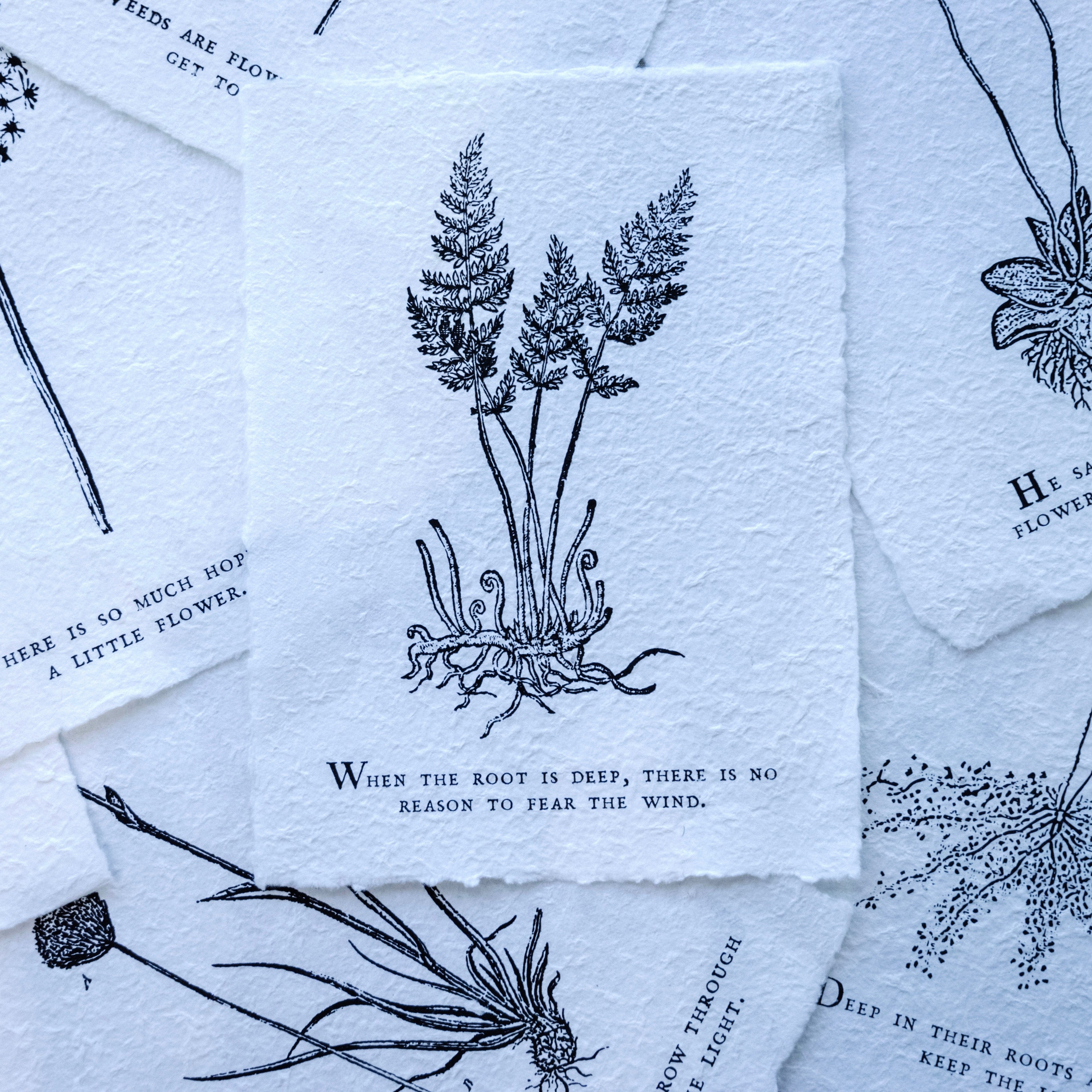 ***When The Root Is Deep Botanical Handmade Paper Print - 12x16