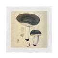 Green Shrooms - Flora & Fauna Collection - 11x11