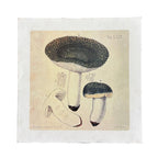 Green Shrooms - Flora & Fauna Collection - 11x11