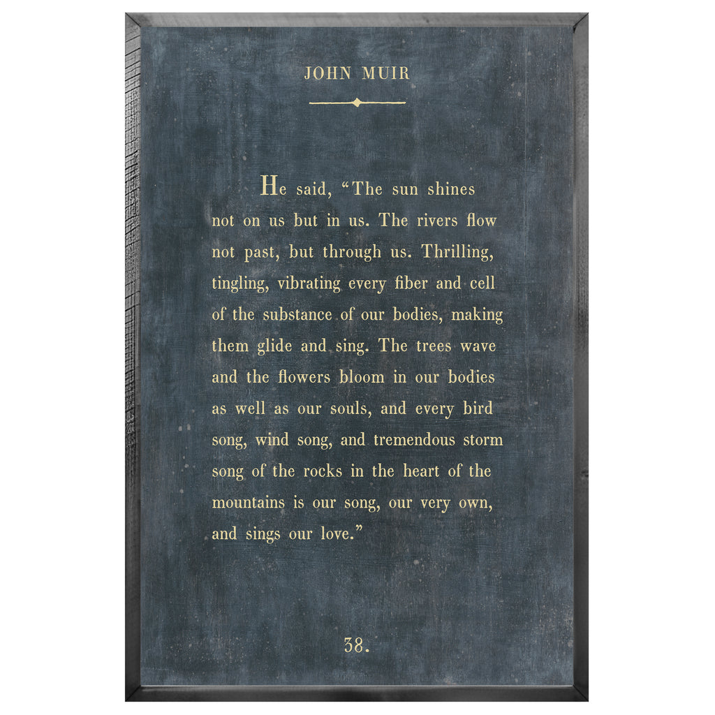 John Muir - Book Collection (Grey Wood) - Art Print