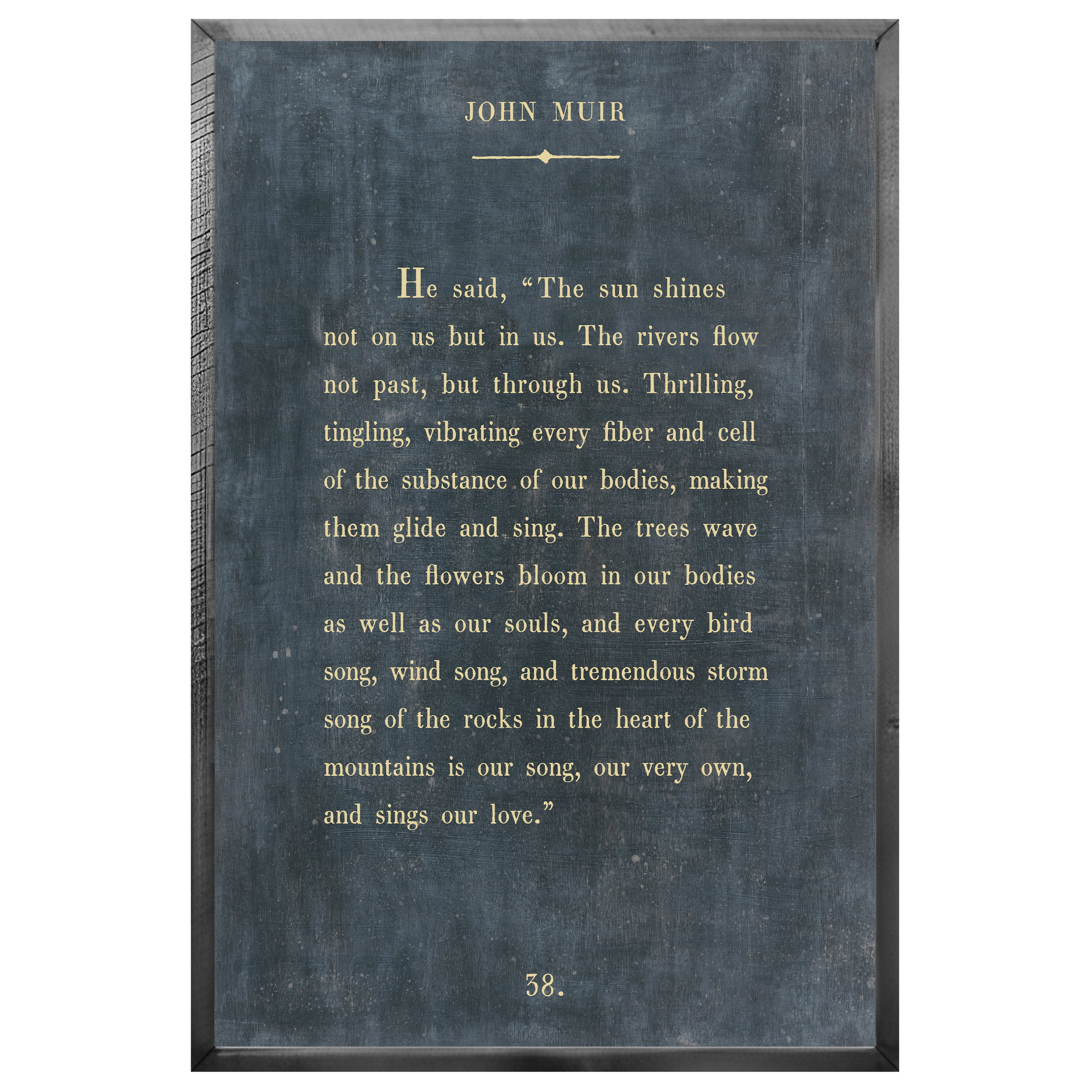 John Muir - Book Collection (Grey Wood) - Art Print