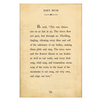 John Muir Art Print - Gallery Wrap