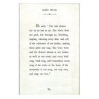 John Muir Art Print - Gallery Wrap