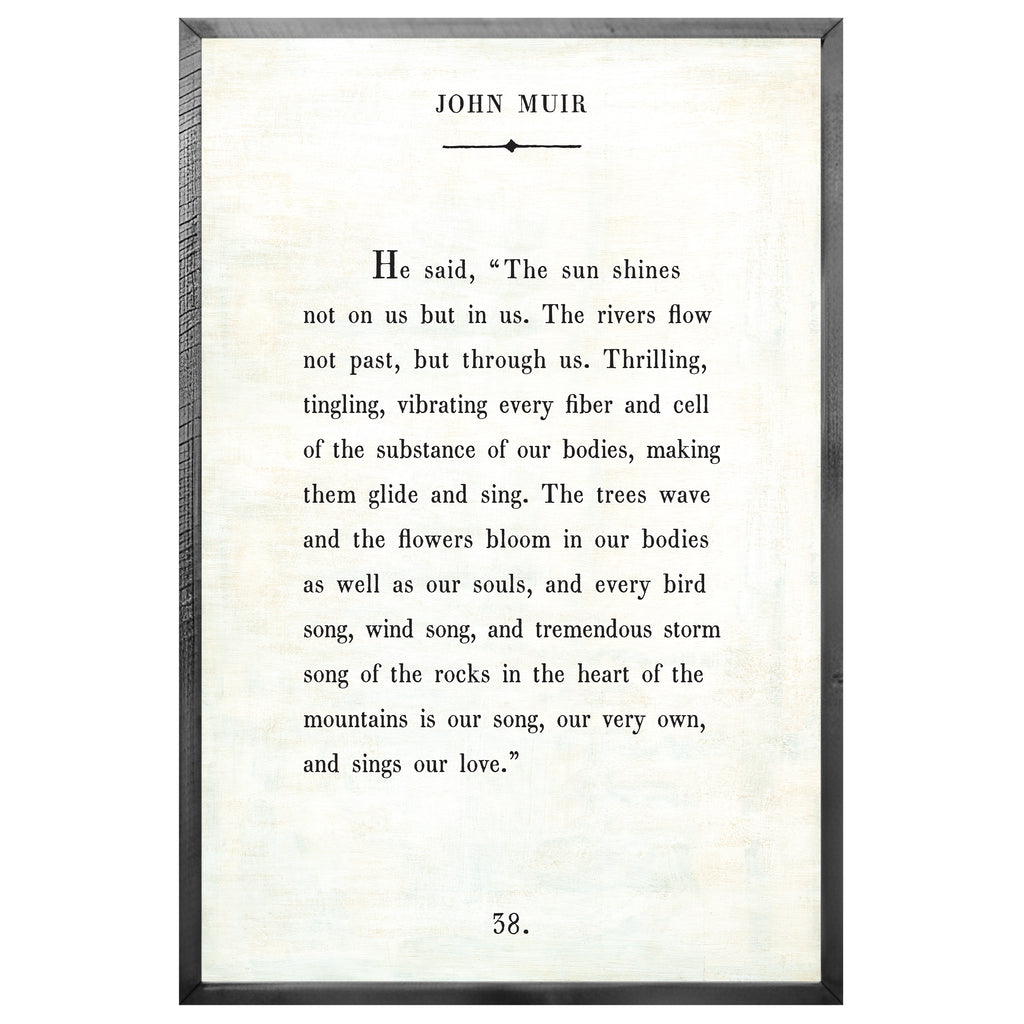 John Muir - Book Collection (Grey Wood) - Art Print