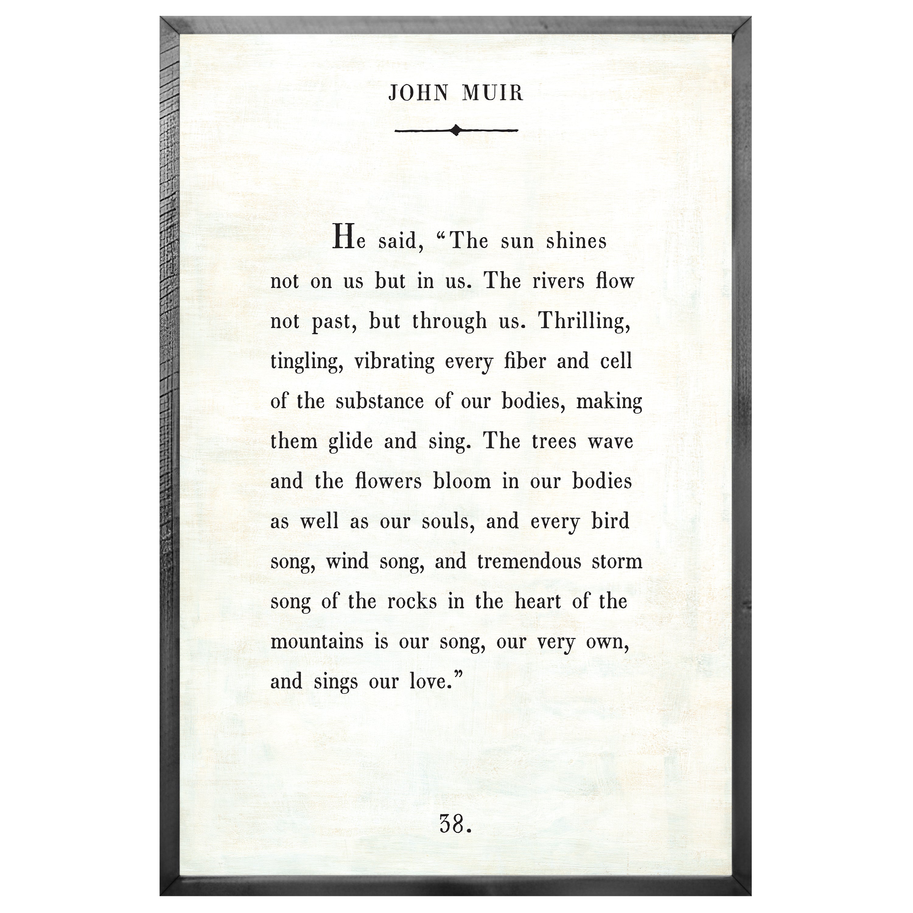 John Muir - Book Collection (Grey Wood) - Art Print